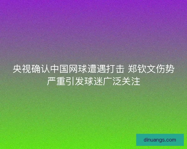央视确认中国网球遭遇打击 郑钦文伤势严重引发球迷广泛关注