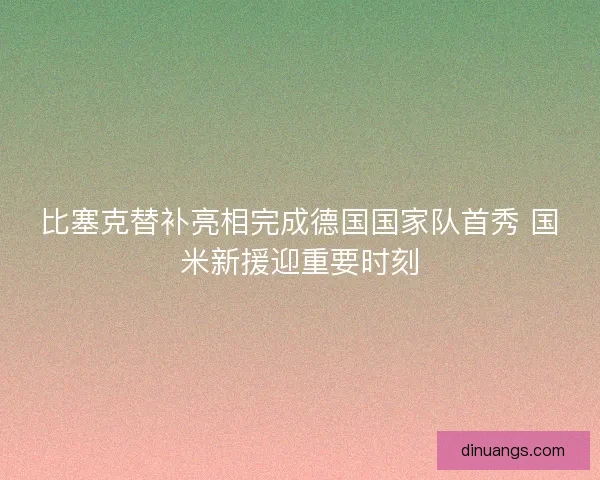 比塞克替补亮相完成德国国家队首秀 国米新援迎重要时刻