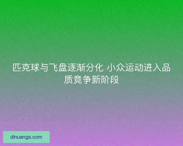 匹克球与飞盘逐渐分化 小众运动进入品质竞争新阶段