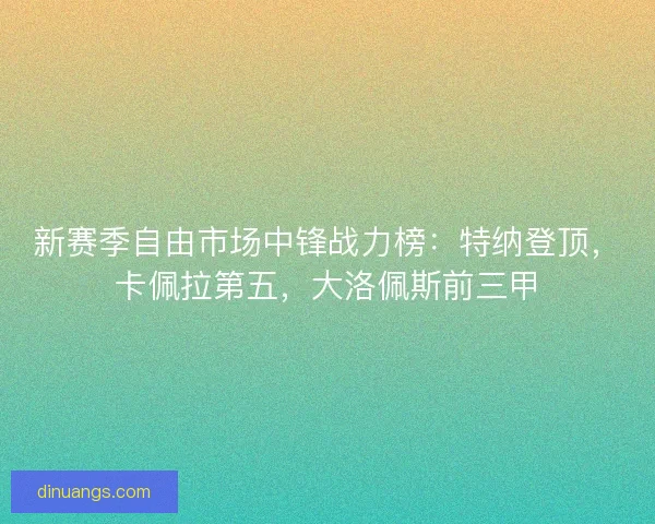 新赛季自由市场中锋战力榜:特纳登顶,卡佩拉第五,大洛佩斯前三甲 新赛季自由市场中锋战力榜:特纳登顶,卡佩拉第五,大洛佩斯前三甲